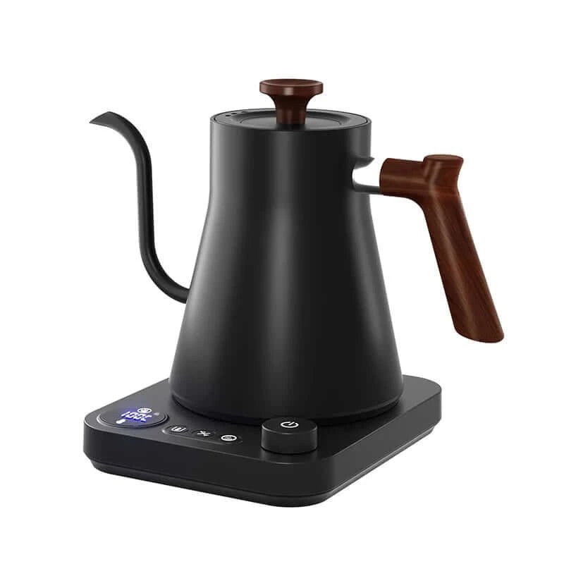 110V/220V Electric Kettle Gooseneck