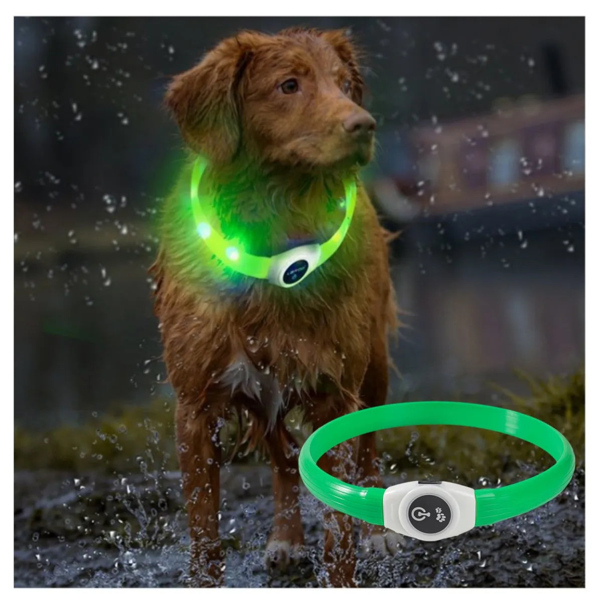 Led Luminous Dog Collar