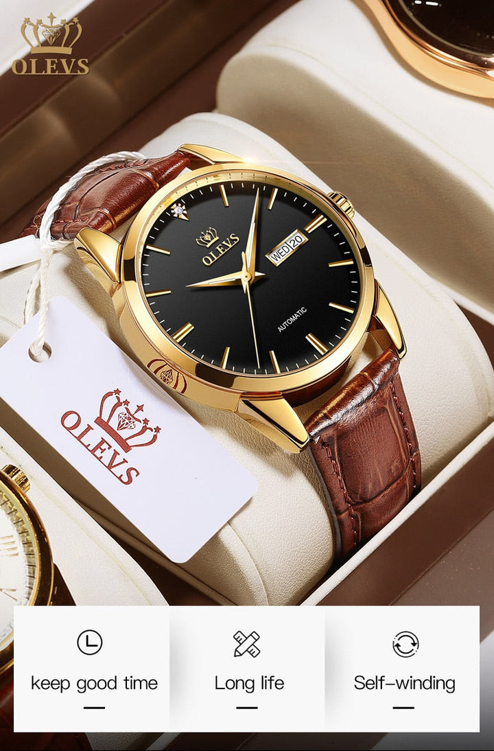 Men's Watches Classic Mechanical Leather Watch Men Luxury Men Automatic Watches Business Waterproof Clock Man-14