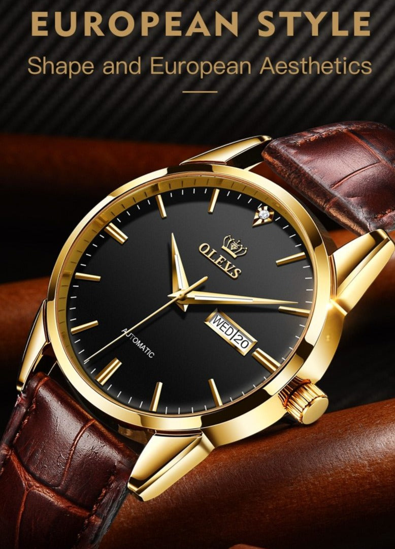 Men's Watches Classic Mechanical Leather Watch Men Luxury Men Automatic Watches Business Waterproof Clock Man-10