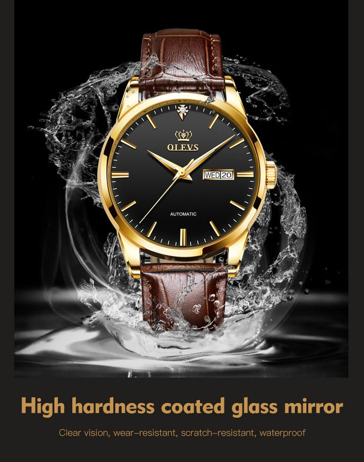 Men's Watches Classic Mechanical Leather Watch Men Luxury Men Automatic Watches Business Waterproof Clock Man-7