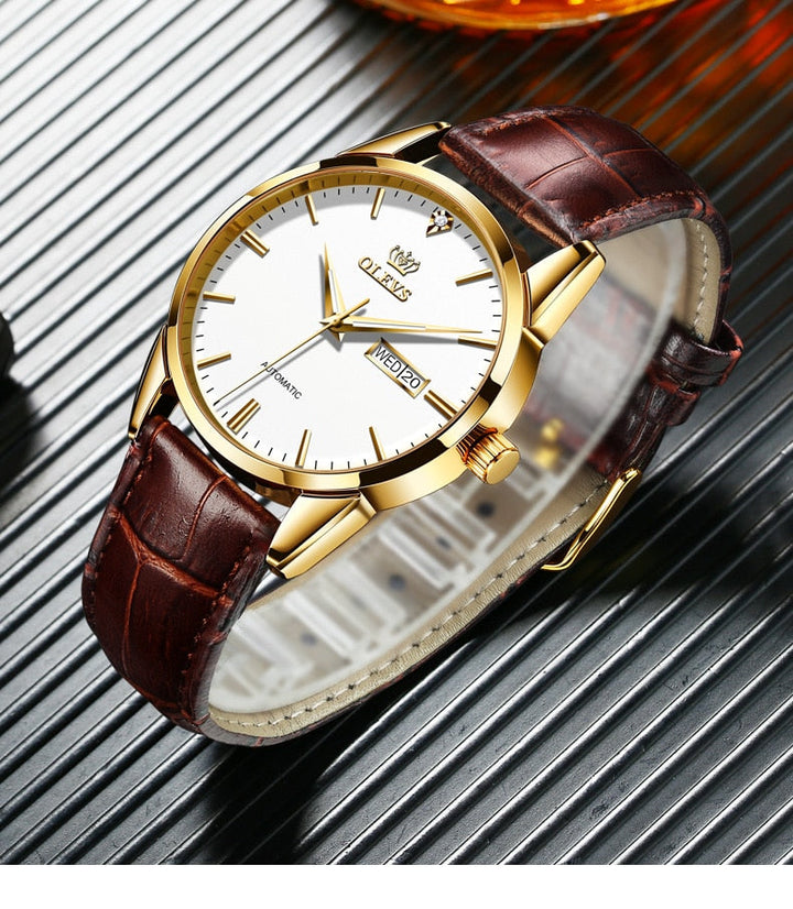 Men's Watches Classic Mechanical Leather Watch Men Luxury Men Automatic Watches Business Waterproof Clock Man-16